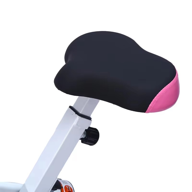 Stationäres Fahrrad mit magnet – Health Wellness Gym Bewertung und Preis